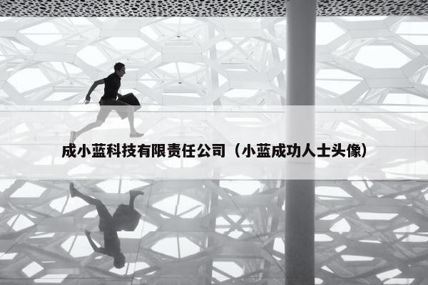 成小蓝科技有限责任公司（小蓝成功人士头像）