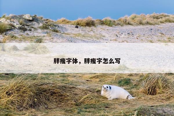 胖瘦字体，胖瘦字怎么写