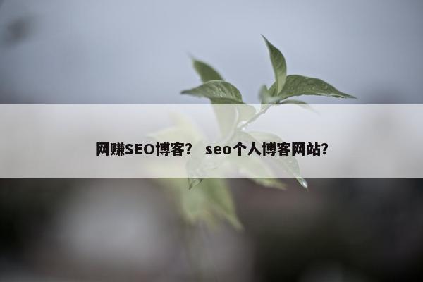 网赚SEO博客？ seo个人博客网站？