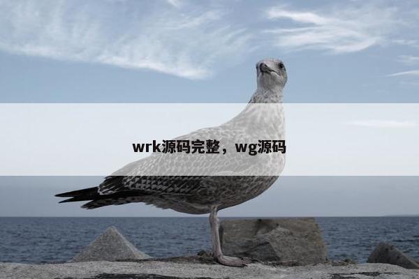 wrk源码完整，wg源码