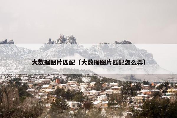 大数据图片匹配（大数据图片匹配怎么弄）