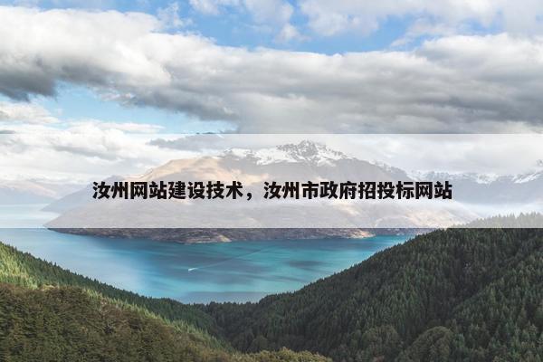 汝州网站建设技术，汝州市政府招投标网站