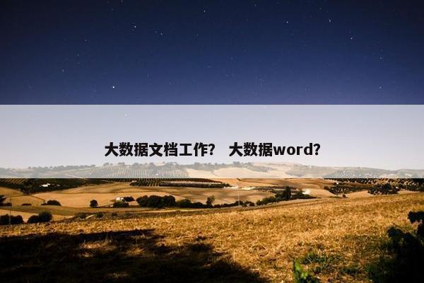 大数据文档工作？ 大数据word？