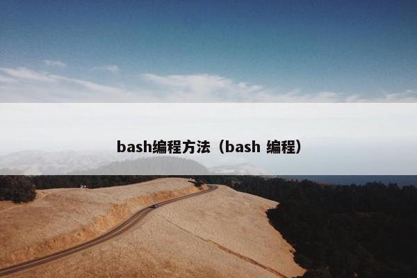 bash编程方法（bash 编程）