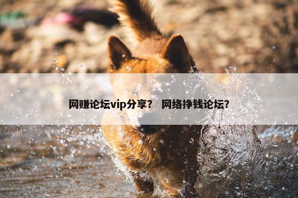 网赚论坛vip分享？ 网络挣钱论坛？
