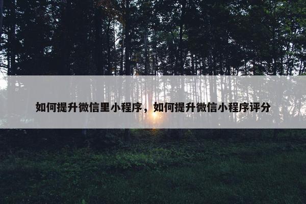 如何提升微信里小程序，如何提升微信小程序评分