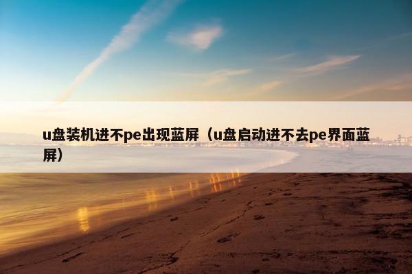 u盘装机进不pe出现蓝屏（u盘启动进不去pe界面蓝屏）