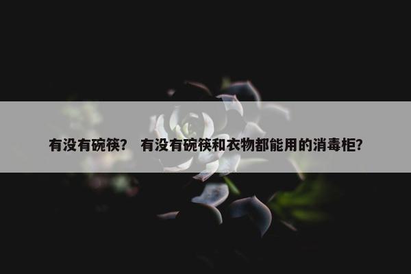 有没有碗筷？ 有没有碗筷和衣物都能用的消毒柜？