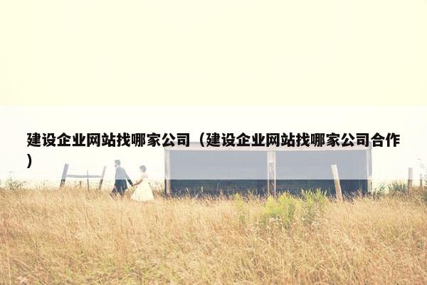 建设企业网站找哪家公司（建设企业网站找哪家公司合作）