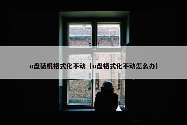 u盘装机格式化不动（u盘格式化不动怎么办）