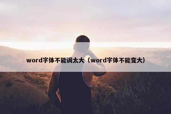 word字体不能调太大（word字体不能变大）