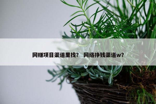 网赚项目渠道里找？ 网络挣钱渠道w？