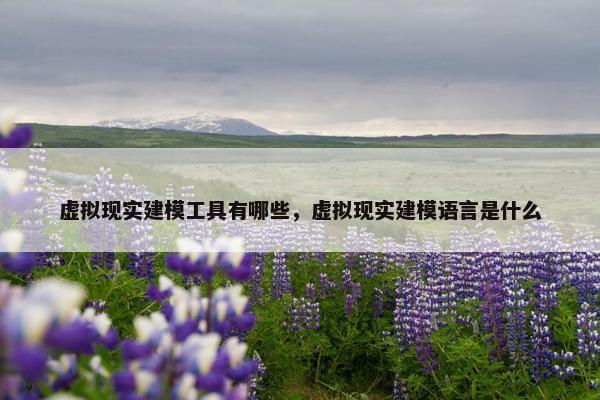 虚拟现实建模工具有哪些，虚拟现实建模语言是什么