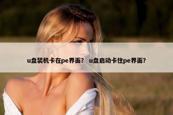 u盘装机卡在pe界面？ u盘启动卡住pe界面？