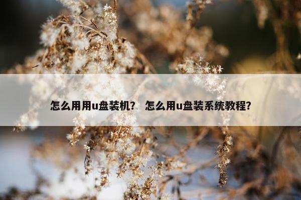 怎么用用u盘装机？ 怎么用u盘装系统教程？