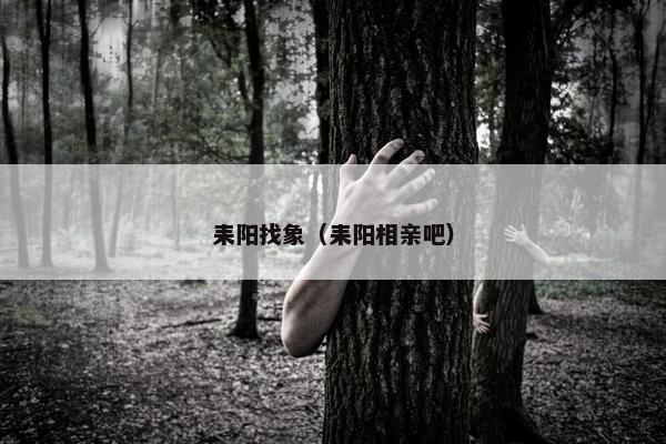 耒阳找象（耒阳相亲吧）