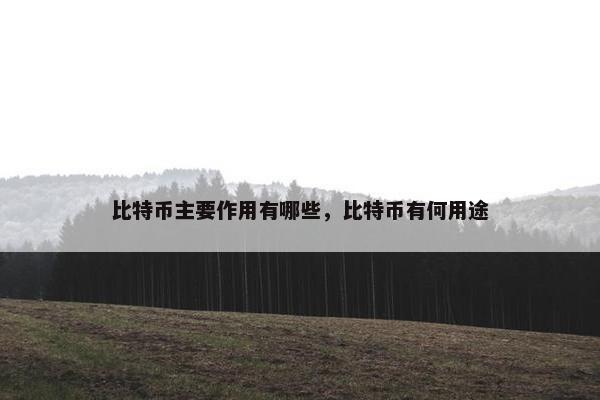 比特币主要作用有哪些，比特币有何用途