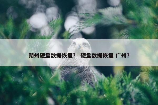 朔州硬盘数据恢复？ 硬盘数据恢复 广州？