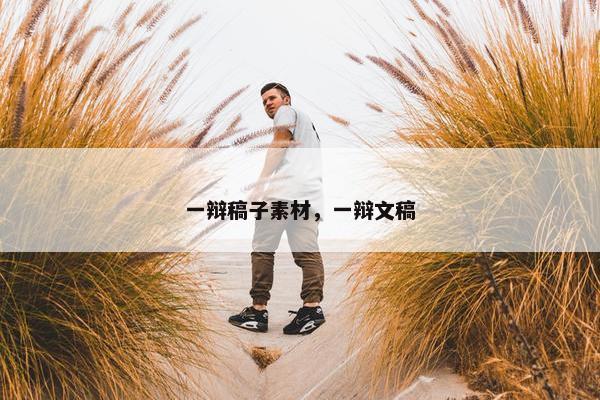 一辩稿子素材，一辩文稿