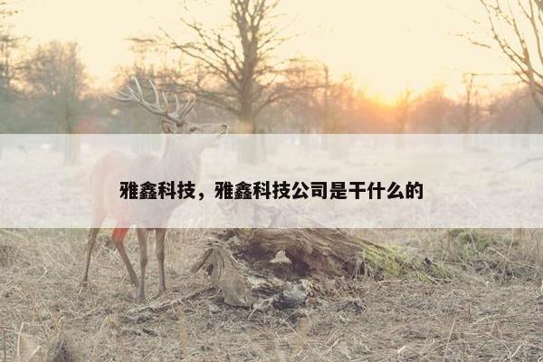 雅鑫科技，雅鑫科技公司是干什么的