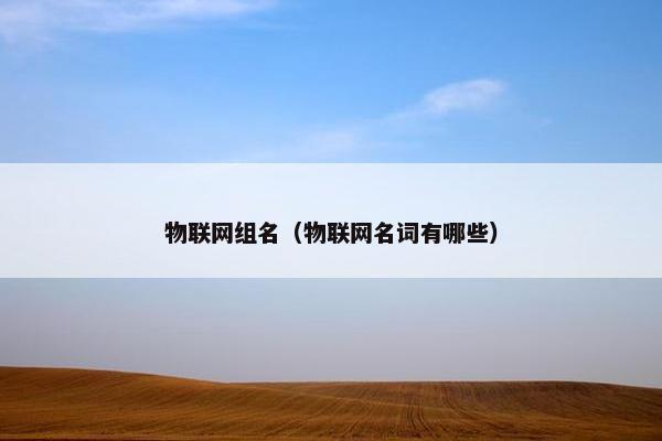 物联网组名（物联网名词有哪些）
