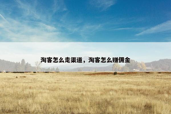 淘客怎么走渠道，淘客怎么赚佣金