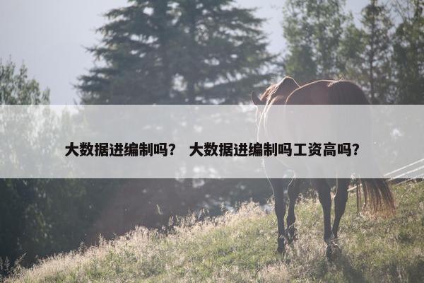 大数据进编制吗？ 大数据进编制吗工资高吗？