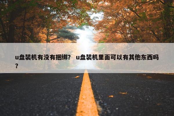 u盘装机有没有捆绑？ u盘装机里面可以有其他东西吗？