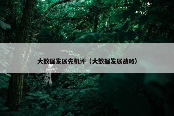 大数据发展先机评（大数据发展战略）