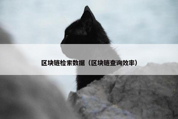 区块链检索数据（区块链查询效率）