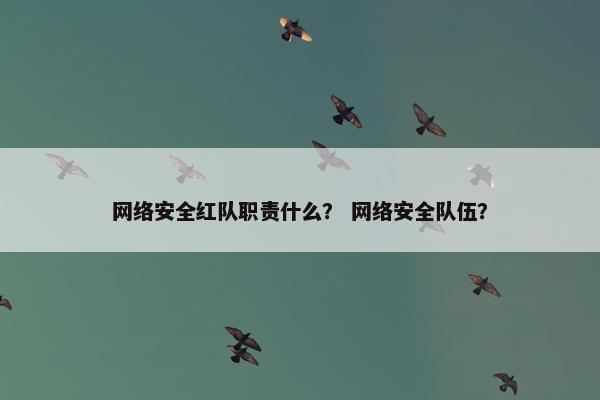 网络安全红队职责什么？ 网络安全队伍？