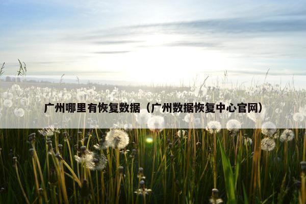 广州哪里有恢复数据（广州数据恢复中心官网）