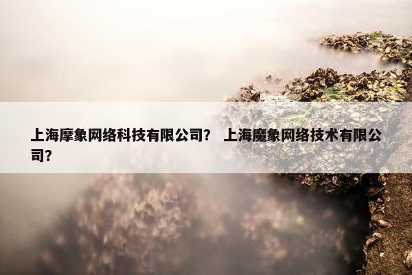 上海摩象网络科技有限公司？ 上海魔象网络技术有限公司？
