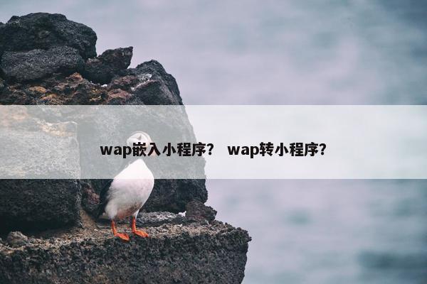 wap嵌入小程序？ wap转小程序？