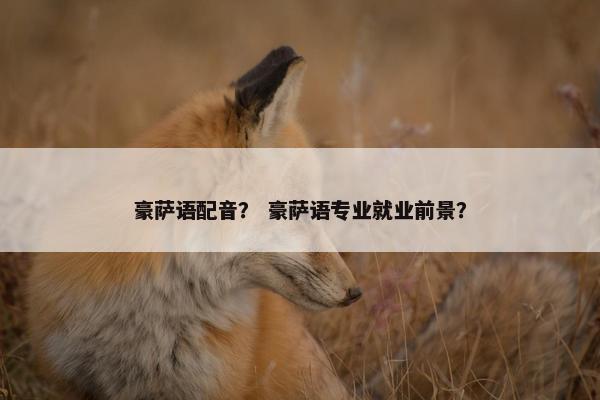 豪萨语配音？ 豪萨语专业就业前景？