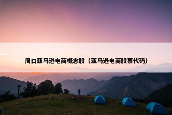 周口亚马逊电商概念股（亚马逊电商股票代码）