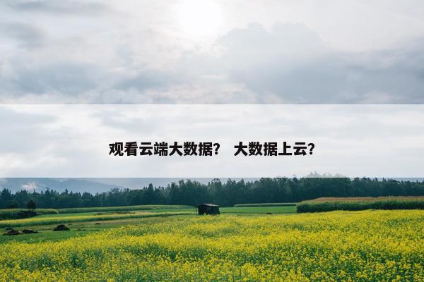 观看云端大数据？ 大数据上云？