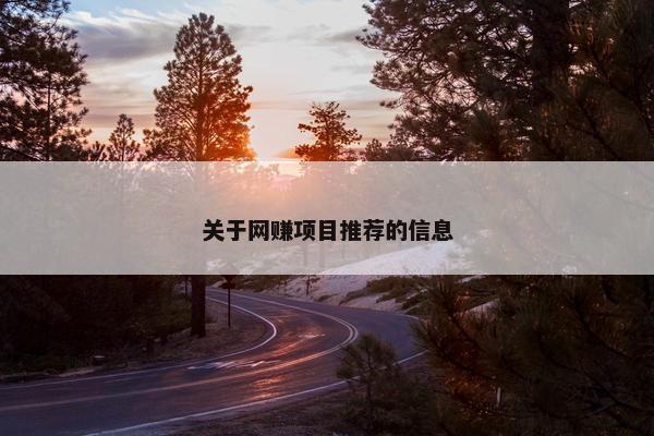 关于网赚项目推荐的信息