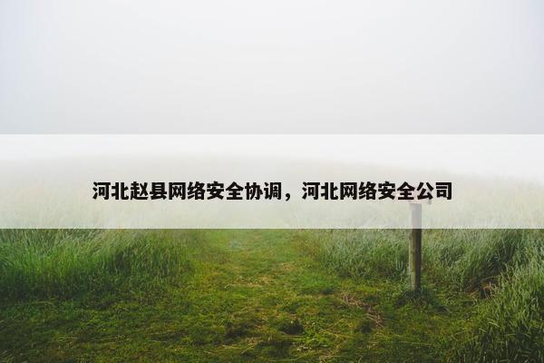 河北赵县网络安全协调，河北网络安全公司