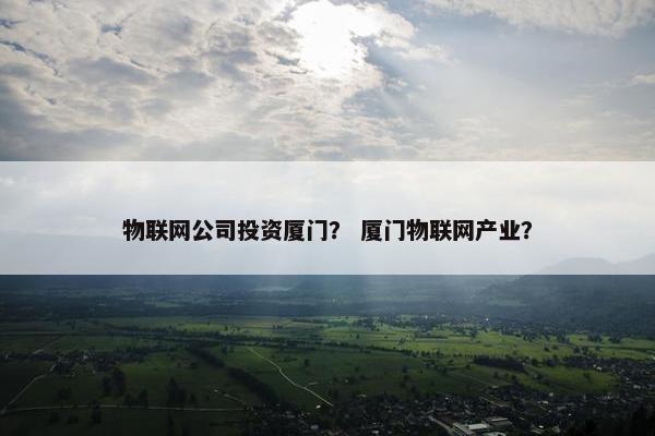 物联网公司投资厦门？ 厦门物联网产业？