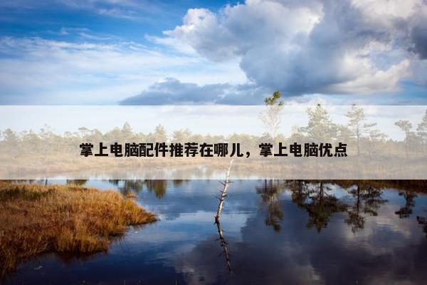 掌上电脑配件推荐在哪儿，掌上电脑优点