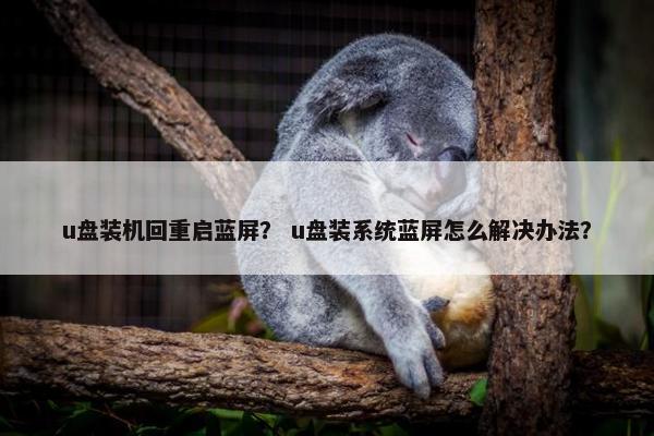 u盘装机回重启蓝屏？ u盘装系统蓝屏怎么解决办法？