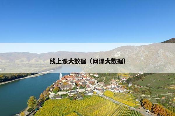 线上课大数据（网课大数据）