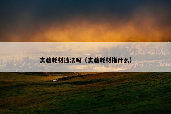 实验耗材违法吗（实验耗材指什么）