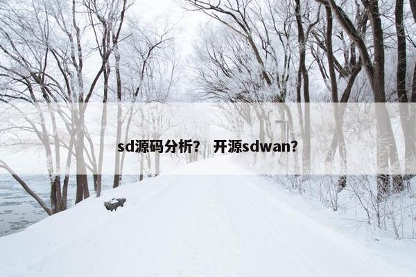 sd源码分析？ 开源sdwan？