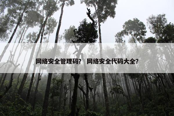 网络安全管理码？ 网络安全代码大全？