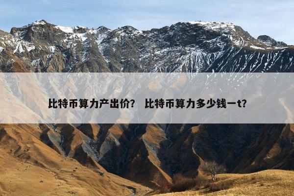 比特币算力产出价？ 比特币算力多少钱一t？