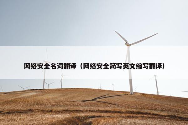 网络安全名词翻译（网络安全简写英文缩写翻译）