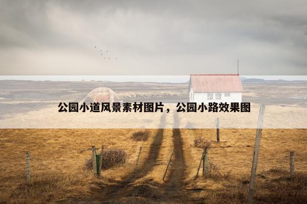 公园小道风景素材图片，公园小路效果图