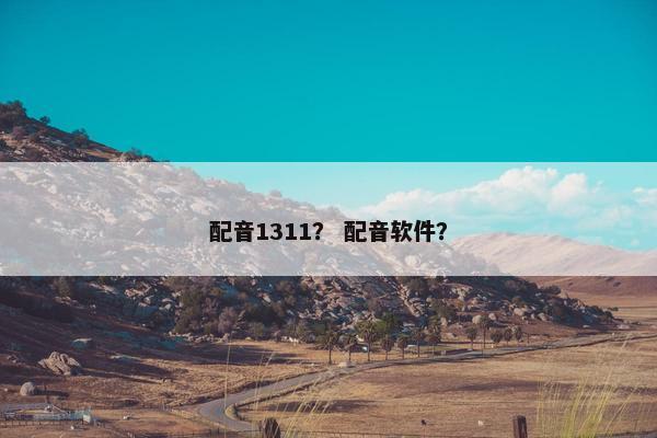 配音1311？ 配音软件？